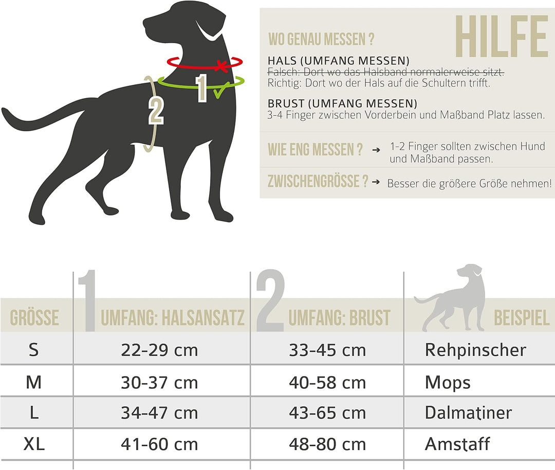ne&amp;no® Hundegeschirr mit passenden Ruckdämpfer [Developed by NE&amp;NO] Hunde Geschirrset | Brustgeschir