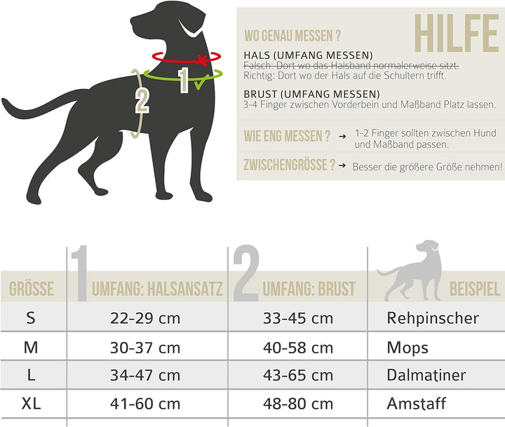 ne&no® Hundegeschirr mit passenden Ruckdämpfer [Developed by NE&NO] Hunde Geschirrset | Brustgeschir
