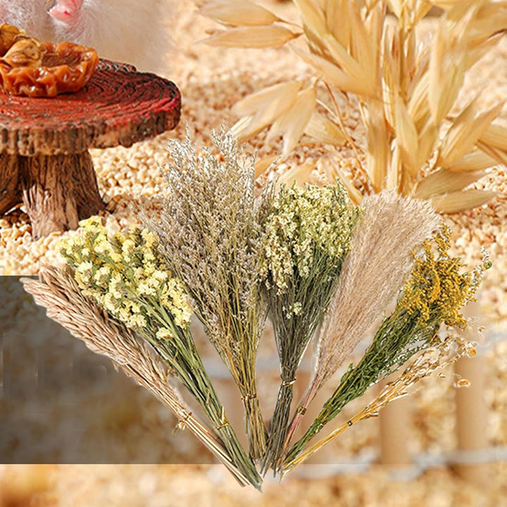 Hamster-Blumeneinstreu, Kleintier-Blumen, Lebensraum-Dekoration, Mäuse, Lebensraum, Dekoration, natü
