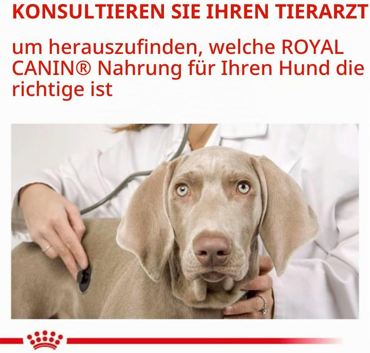Royal Canin Senior Consult Mature 10 kg