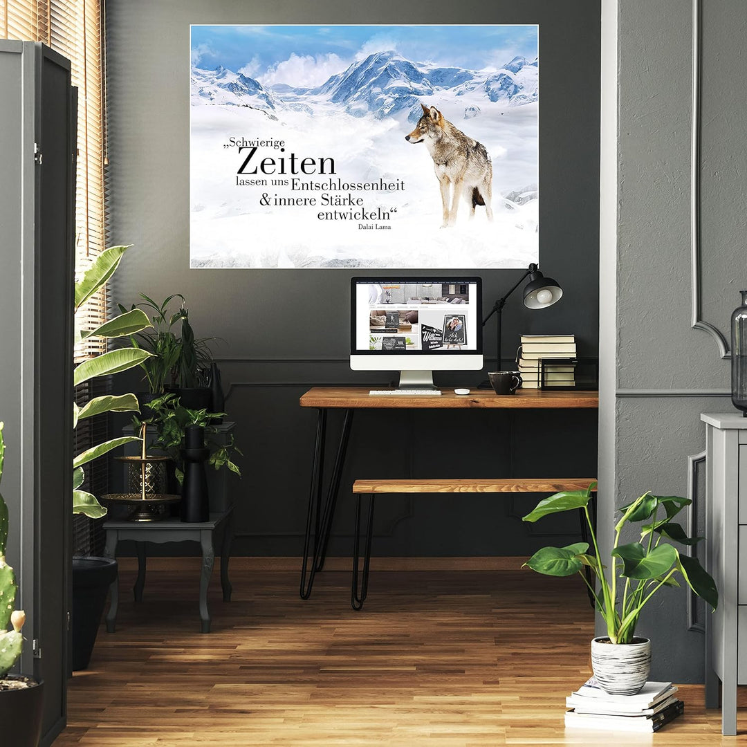 wandmotiv24 Poster als Wanddeko, Grösse 100x70cm, Wolf in den Bergen, Entschlossenheit, Wölfe, Tiere