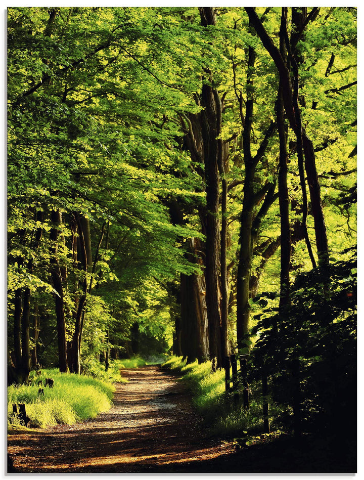 Glasbilder Wandbild Glas Bild einteilig 45x60 cm Hochformat Natur Wald Bäume Frühling Spaziergang La