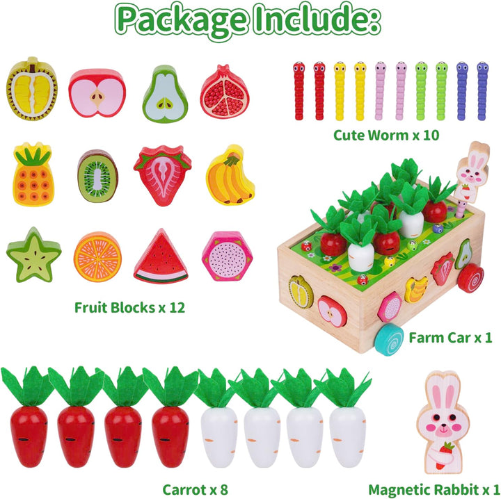 Kinder Montessori Spielzeug ab 1 2 3 Jahr | 7-in-1 Holzspielzeug 2 Jahre | Steckspiel Sortierspiel H