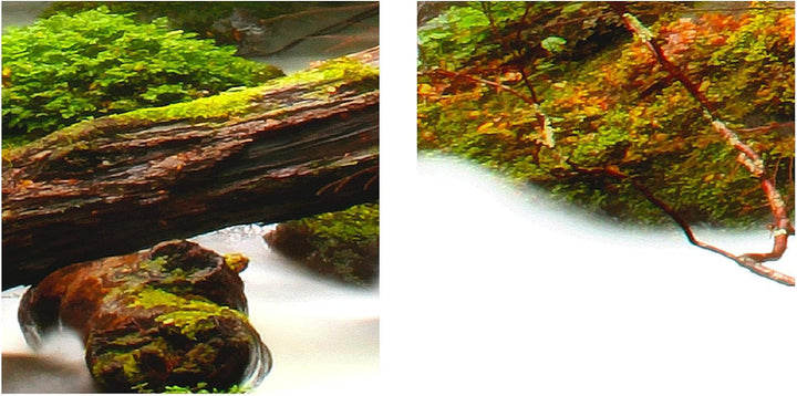 Runa Art Bild Wald Landschaft Wandbilder auf Vlies Leinwand 5 Teilig Wanddekoration Schlafzimmer Woh