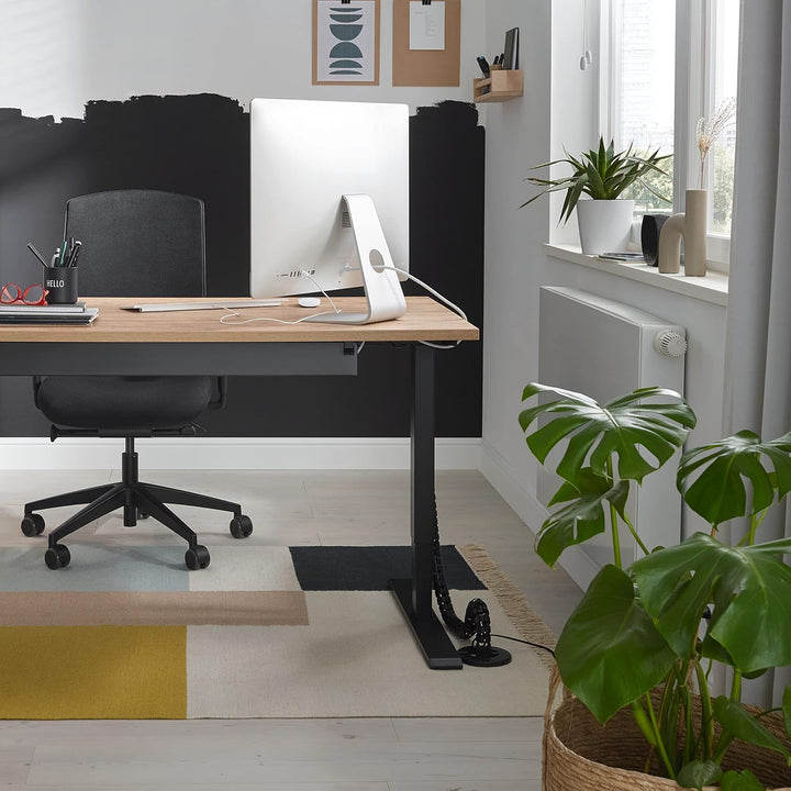 boho office® Schreibtischplatte, Tischplatte – 120 x 80 x 2,5 cm in Wildeiche Premium-Dekor mit hohe
