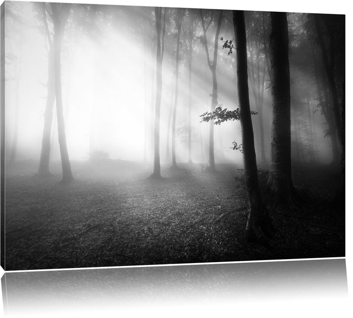 Pixxprint Düsterer Wald im Nebel Schwarz/Weiss, Format: 100x70 auf Leinwand, 100x70