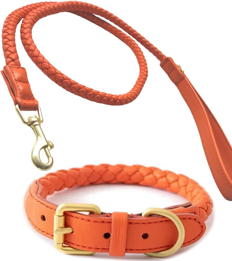 Hundehalsband mit 1,20 m Cityleine im Set (Orange), rund geflochten, Zeitloses Design, KEIN Leder M: