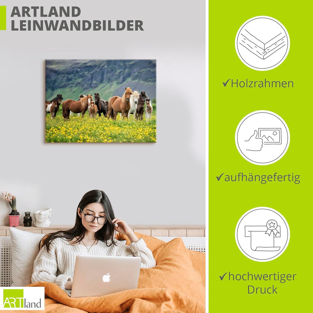 ARTland Leinwandbilder Wandbild Bild auf Leinwand 80x60 cm Wanddeko Pferd Wildpferde Herde Isländer