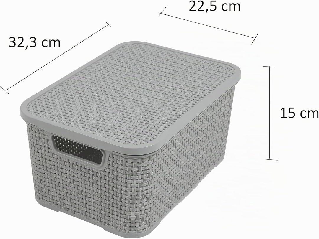 BranQ - Home essential Basket with Lid in Rattan Design Set of 2 Size M 10 L BPA-Free Plastic PP Lig