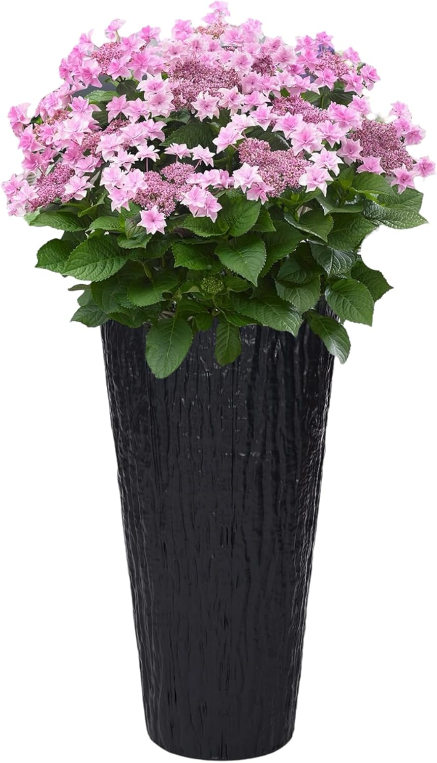 MELTOM Blumenkübel Blumentopf Rund Slim Pflanzkübel mit Herausnehmbaren Einsatz DEKORATIV (Anthrazit