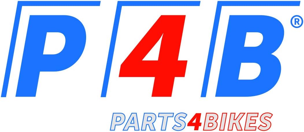 P4B | Luftpumpe in Titanium mit rundem Manometer | Fahrradpumpe für alle Ventile - Dunlop Ventil, Fr