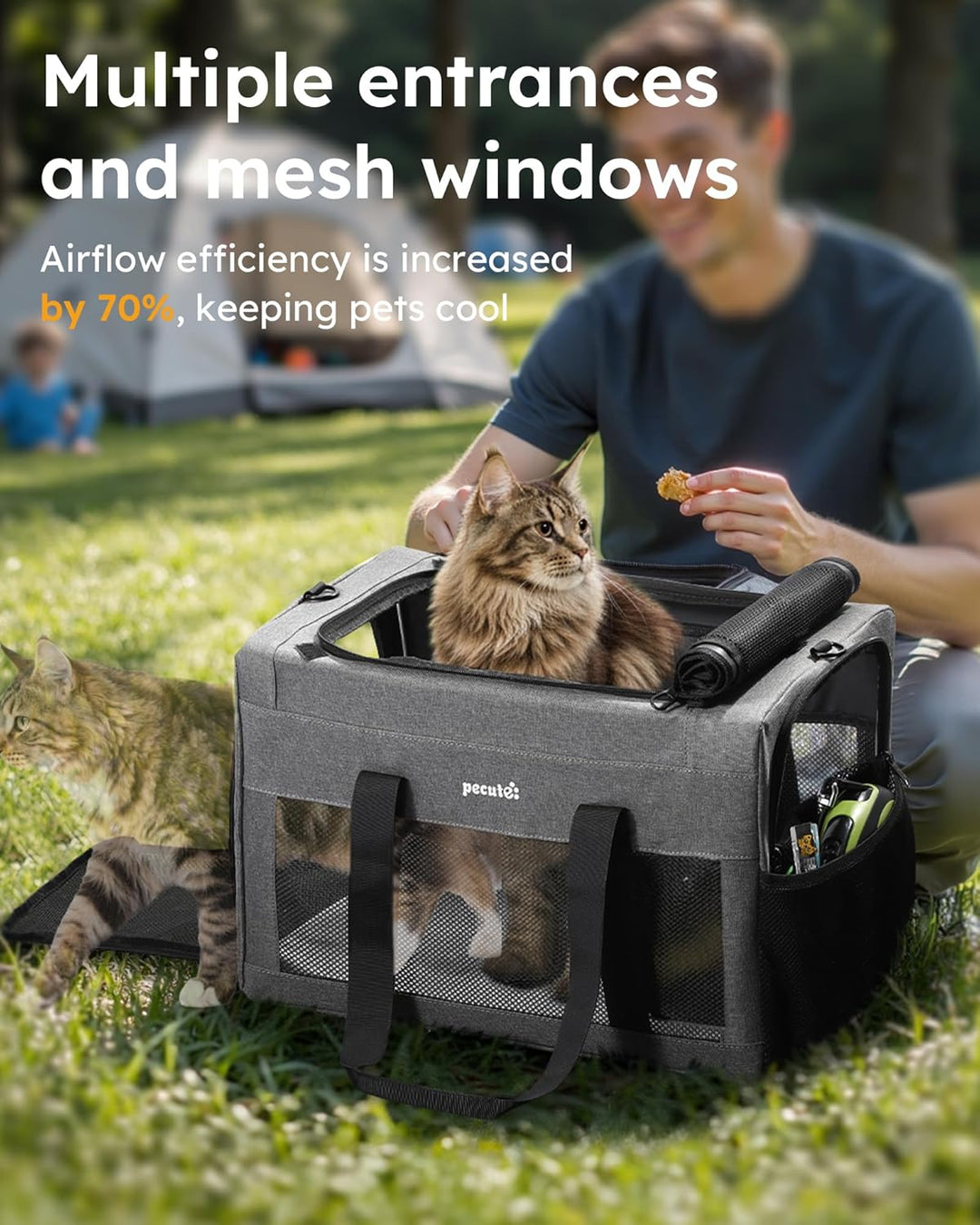 pecute Katzentasche Transporttasche Stabiler Halt Haustier Tragetasche, Transportbox Katze Leicht, F