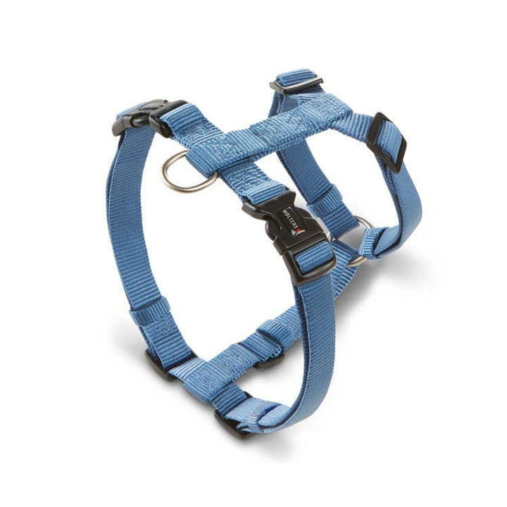 Wolters Geschirr Professional, Grösse:L 50-70 cm x 20 mm, Farbe:Riverside Blue L 50 - 70 cm x 20 mm