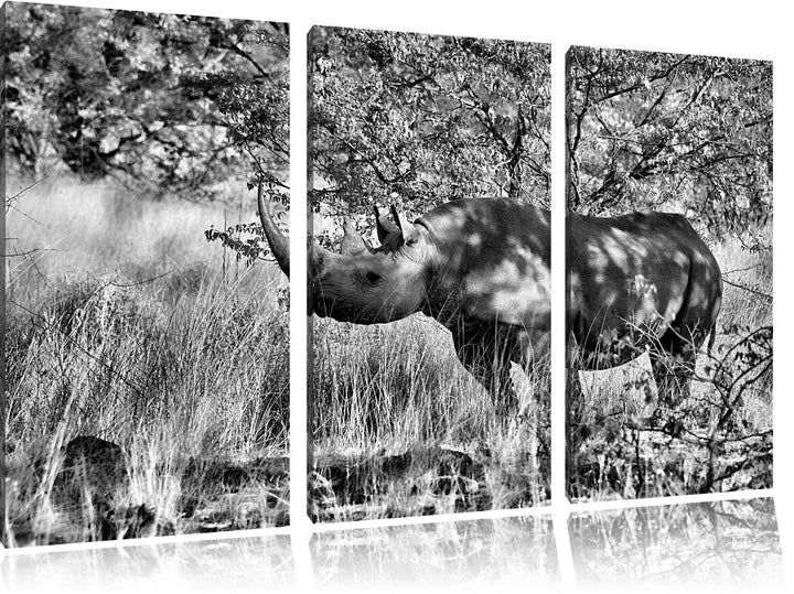 Pixxprint Nashorn in der Savanne als Leinwandbild/Grösse: 3 Teilig (120x80) cm/Wandbild/Kunstdruck/f