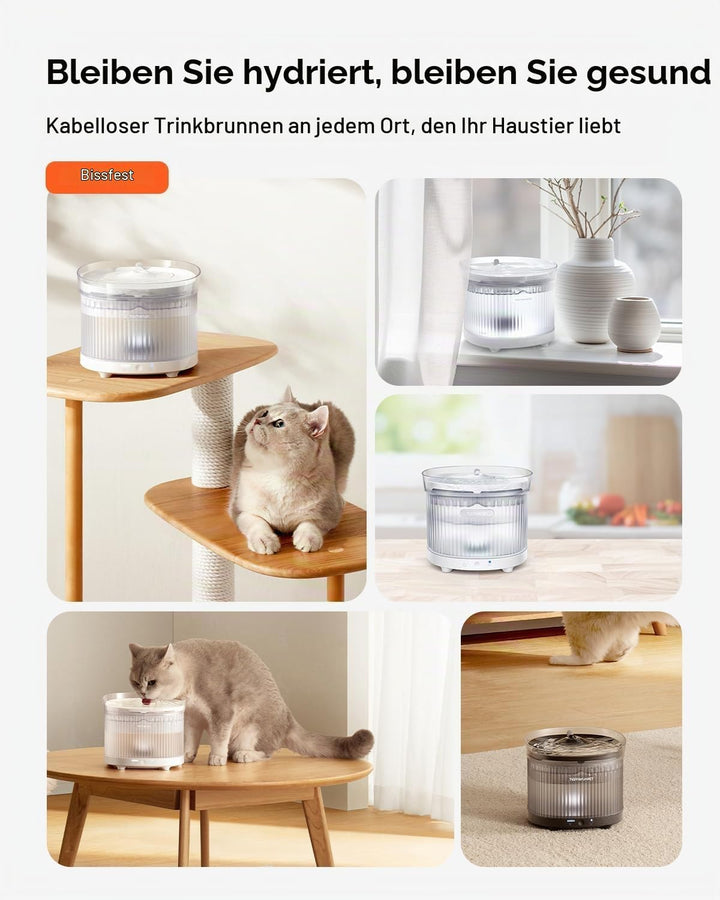 Homerunpet Katzenbrunnen Kabellos mit Bewegungsmelder &amp; Ultraleiser Kabelloser Pumpe, BPA-freier Tri