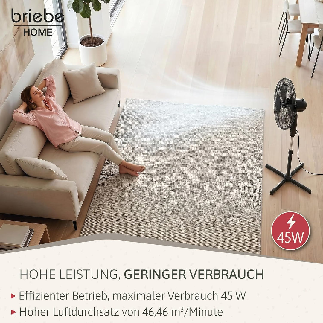 briebe Standventilator mit Fernbedienung, 40 cm, Leise, Timer, Oszillierend, 3 Betriebsmodi, 3 Gesch