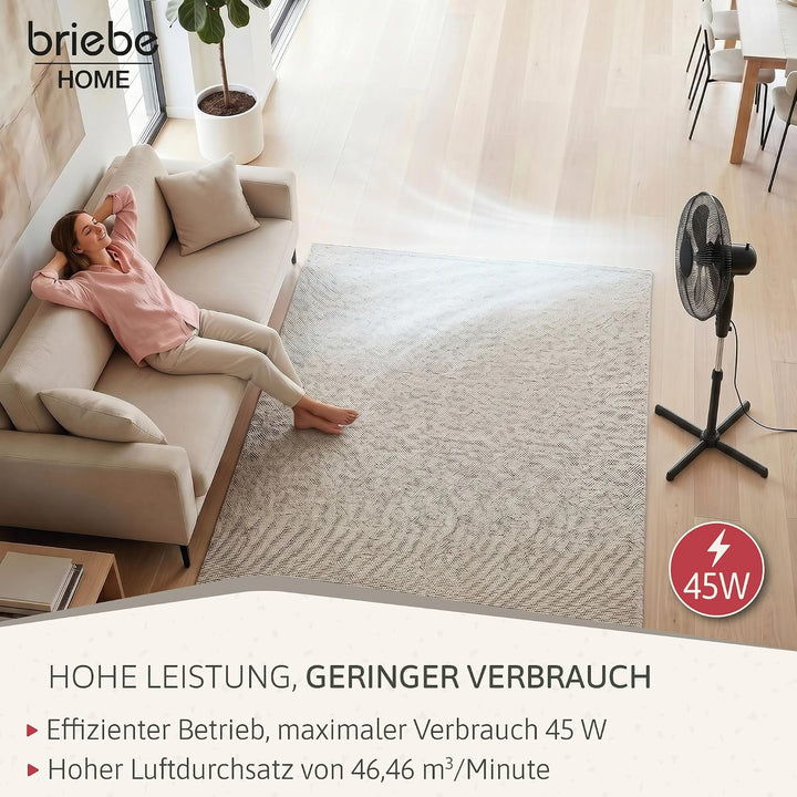 briebe Standventilator mit Fernbedienung, 40 cm, Leise, Timer, Oszillierend, 3 Betriebsmodi, 3 Gesch