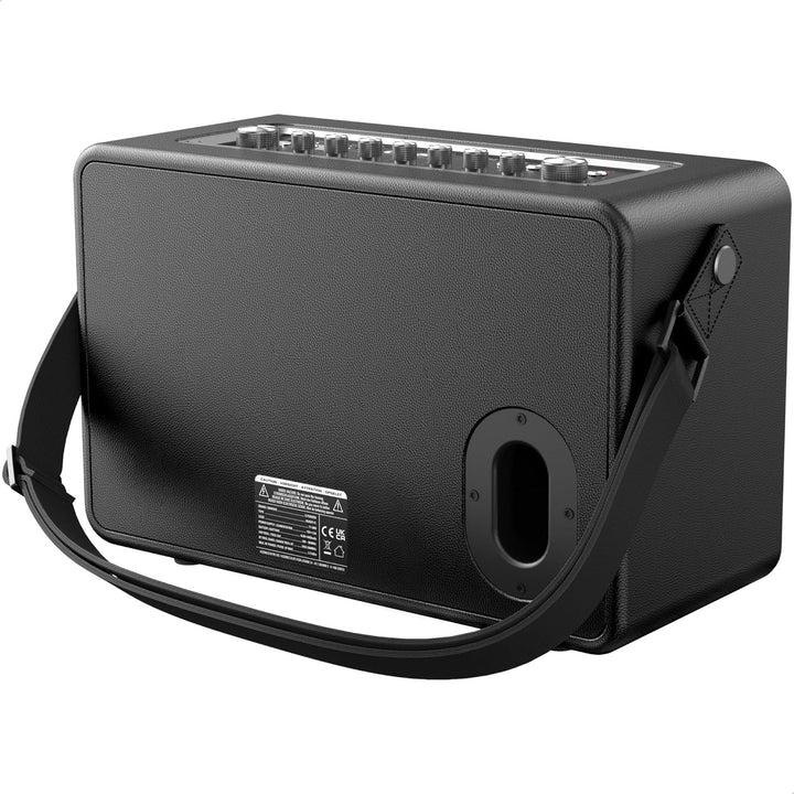 C.Perkins - ROADY-FL - Das professionelle 100W batteriebetriebene ALL-IN-ONE mit 1 drahtlosen UHF-Mi