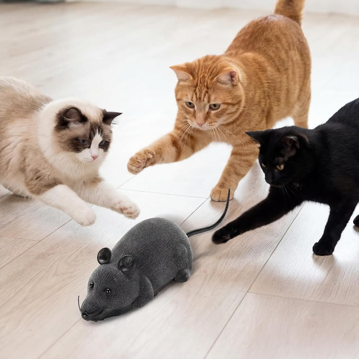 Katzenspielzeug Maus Elektrisch, Elektrisches Katzenspielzeug, Ferngesteuerte Maus für Katzen, Reali