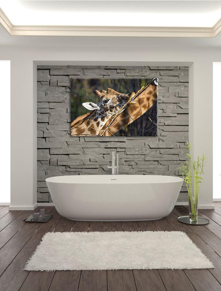 Pixxprint fressende Giraffe auf Leinwand, XXL riesige Bilder fertig gerahmt mit Keilrahmen, Kunstdru