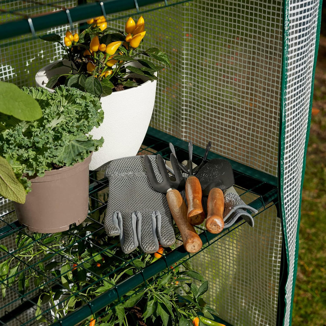 Bramble - Premium Garten Foliengewächshaus für Balkon & Terrasse mit 4 Etagen, Stahlrahmen & Verstär