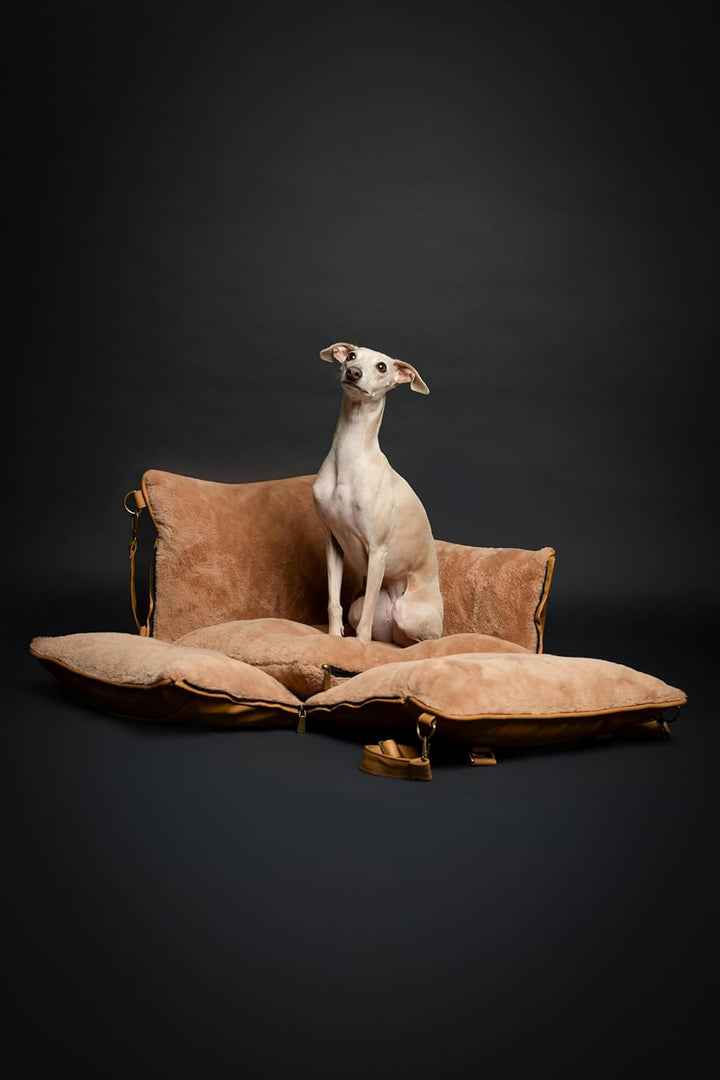 Noah & Paw Siège Auto für Hund, siège klein Hund und Tiere klein à mittel Grösse mit Clip harnais, S