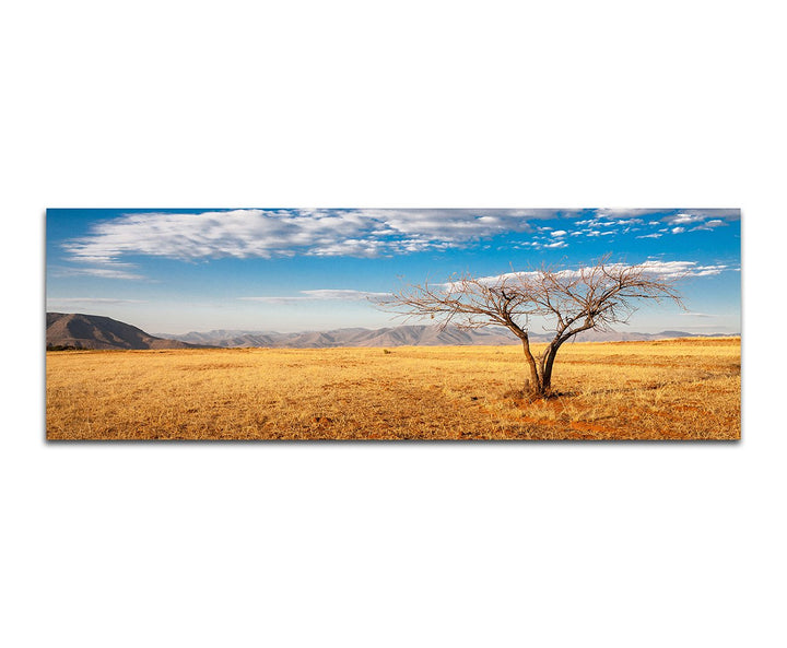 Paul Sinus Art Panoramabild auf Leinwand und Keilrahmen 150x50cm Afrika Steppe Berge Baum Himmel Wol