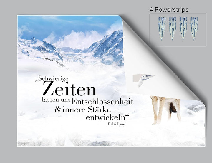 wandmotiv24 Poster als Wanddeko, Grösse 100x70cm, Wolf in den Bergen, Entschlossenheit, Wölfe, Tiere