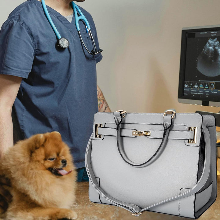 OUUTMEE Mode Haustiertragetasche für Hunde und Katzen, weiche Seiten, Lederhandtasche, Haustiertrage