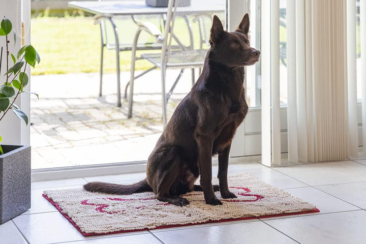 DGS Dirty Dog Doormat L: 78 cm B: 51 cm beige 78 X 51 CM Beige, 78 X 51 CM Beige