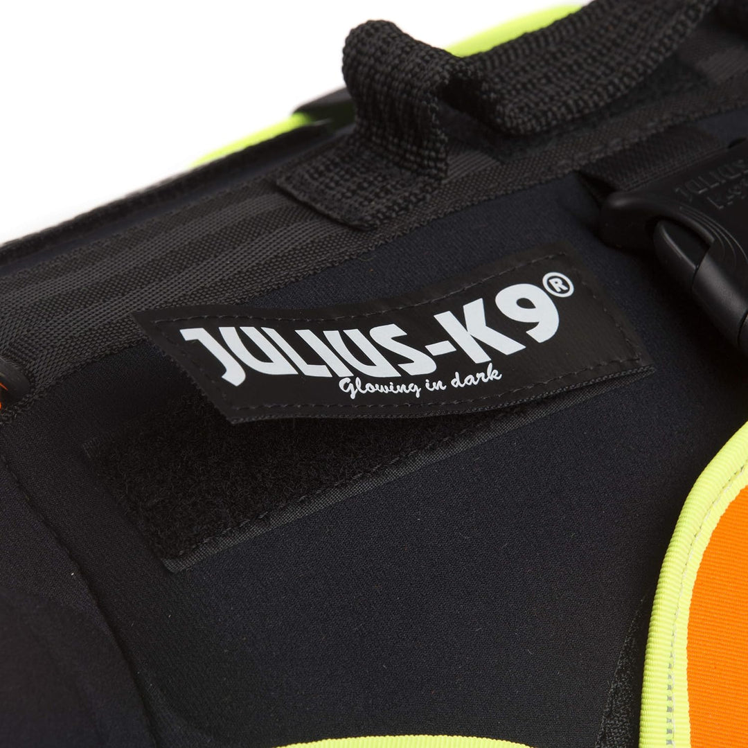 Julius-K9, IDC Multifunktionale Hundeweste 3in1, Grösse: S, Schwarz und UV Orange S Schwarz und Neon