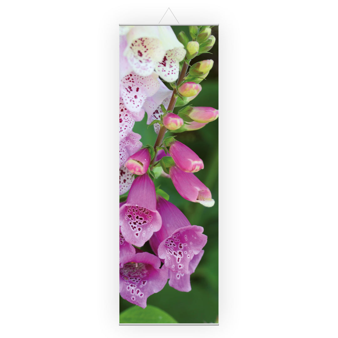 Stoffbanner Natur, Blume ✓ inkl. Aufhängung ✓ Wandbild, Schaufensterdeko, Wanddeko, Werbebanner (60x