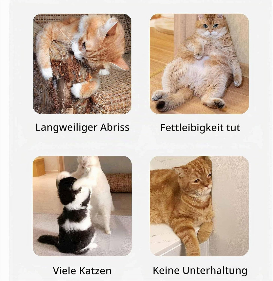 Interaktives Katzenspielzeug für den Innenbereich, 3 Geschwindigkeiten Auto/Manuelle Katzenjagd, Kat