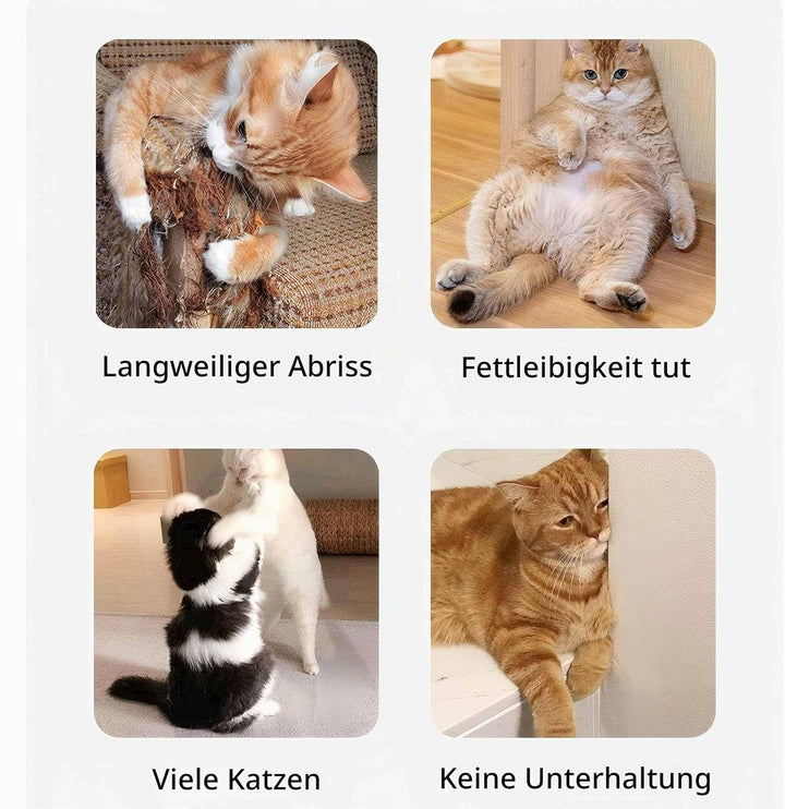 Interaktives Katzenspielzeug für den Innenbereich, 3 Geschwindigkeiten Auto/Manuelle Katzenjagd, Kat