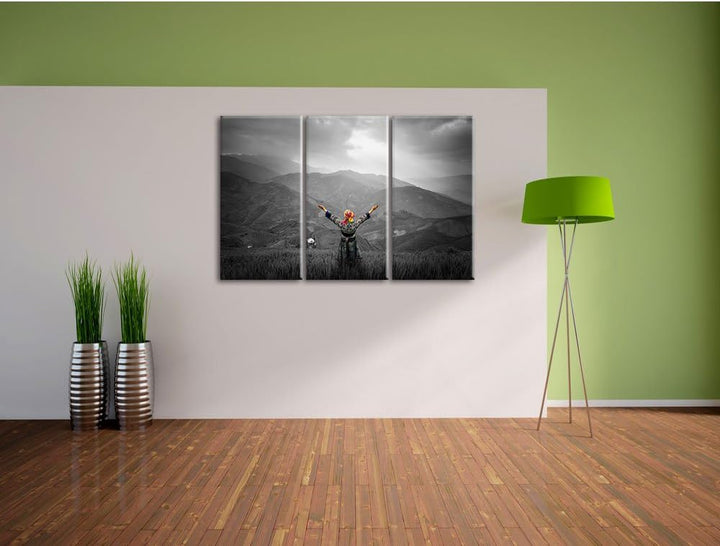 Pixxprint Berg Farm in Asien / 3-Teilig/Gesamtmass 120cm Leinwandbild bespannt auf Holzrahmen/Wandbi