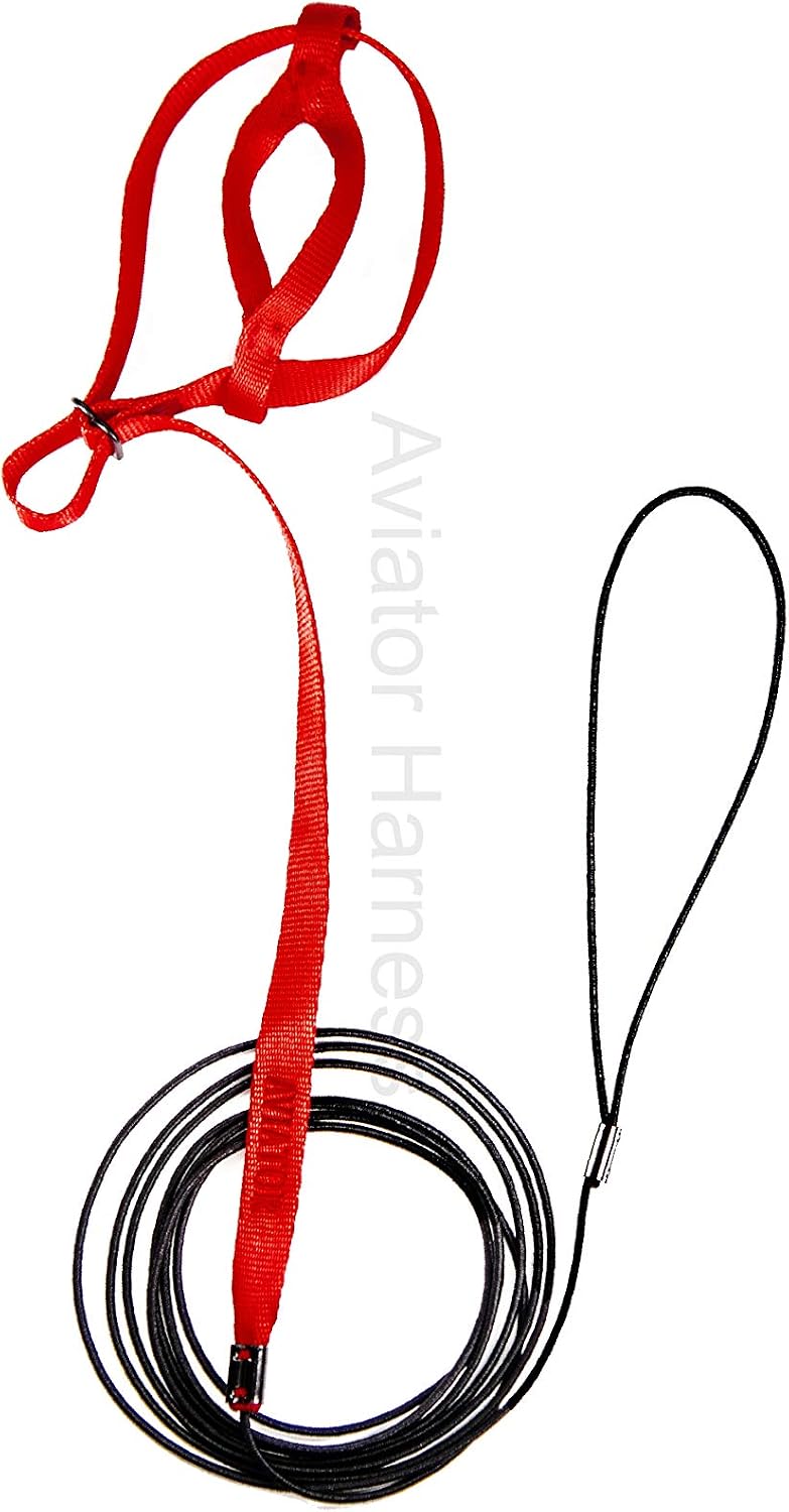 Das Aviator Vogel Geschirr &amp; Lein – Made in America XXXS Rotes, XXXS Rotes