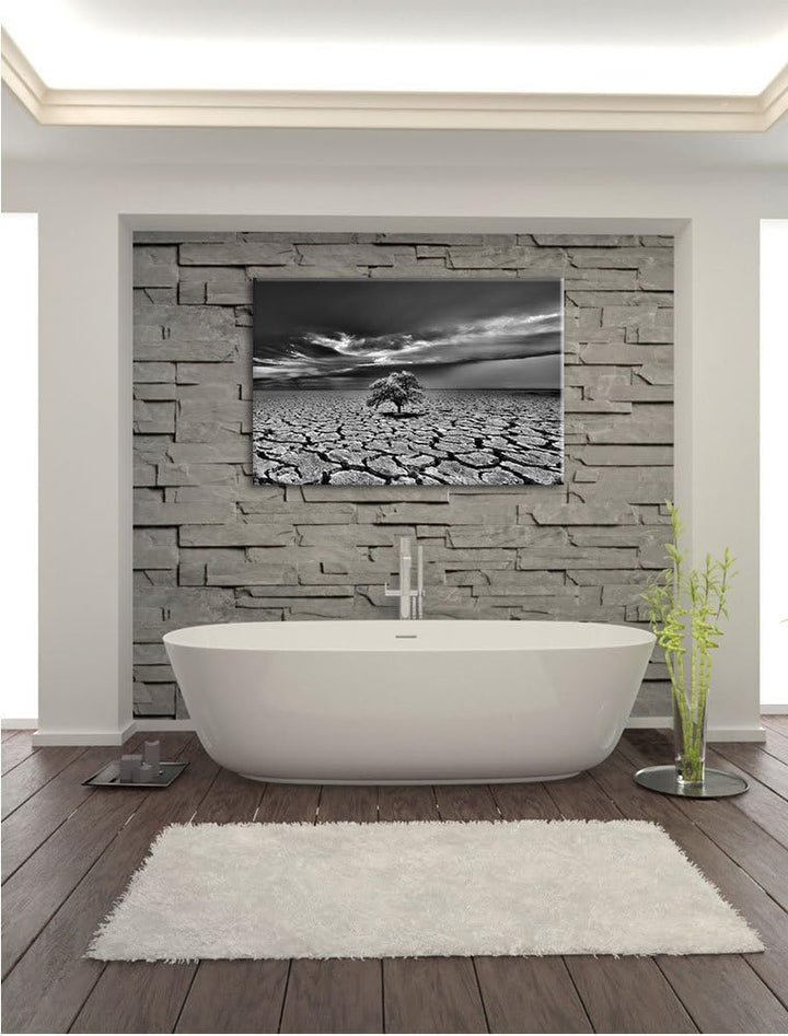 Pixxprint Monocrome, der Letzte Baum im ausgetrockneten Boden, Format: 100x70 auf Leinwand, XXL ries