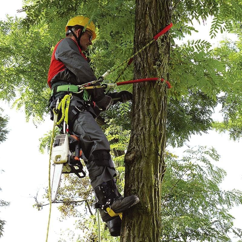TreeUp Steigeisen DR-1 Baumsteigeisen Kletterhilfen Forstzubehör (neon orange)