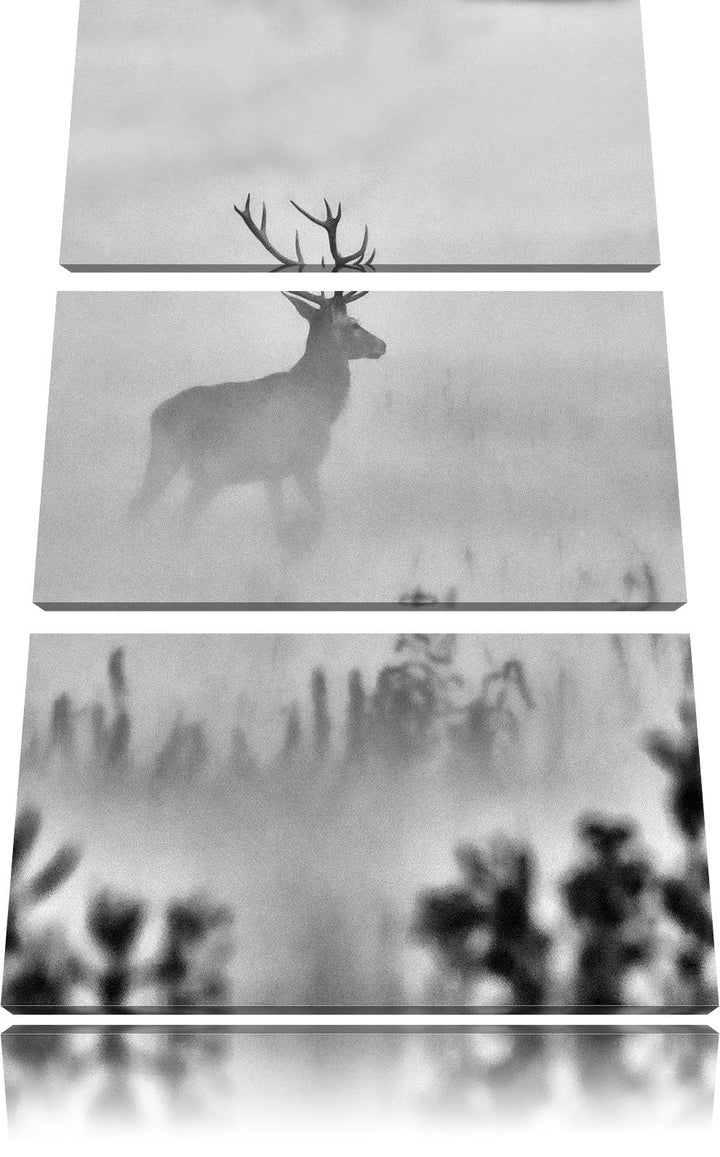 Pixxprint Hirsch im Nebel als Leinwandbild | Grösse: 3 Teilig (120x80) | Wandbild| Kunstdruck | fert