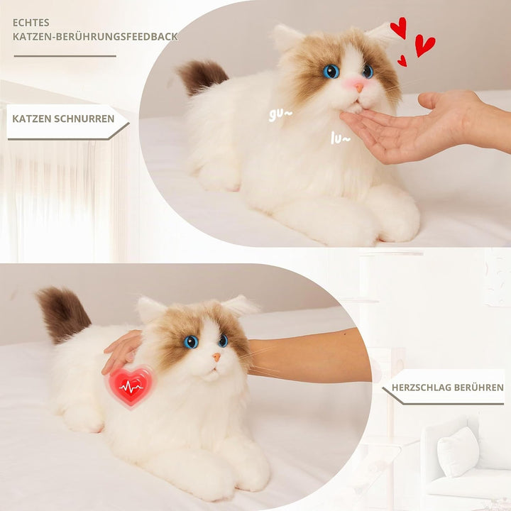 Chongker Interaktive Ragdoll Katze, Realistische Plüschkatze mit Miauen, Schnurren und Herzschlag, B