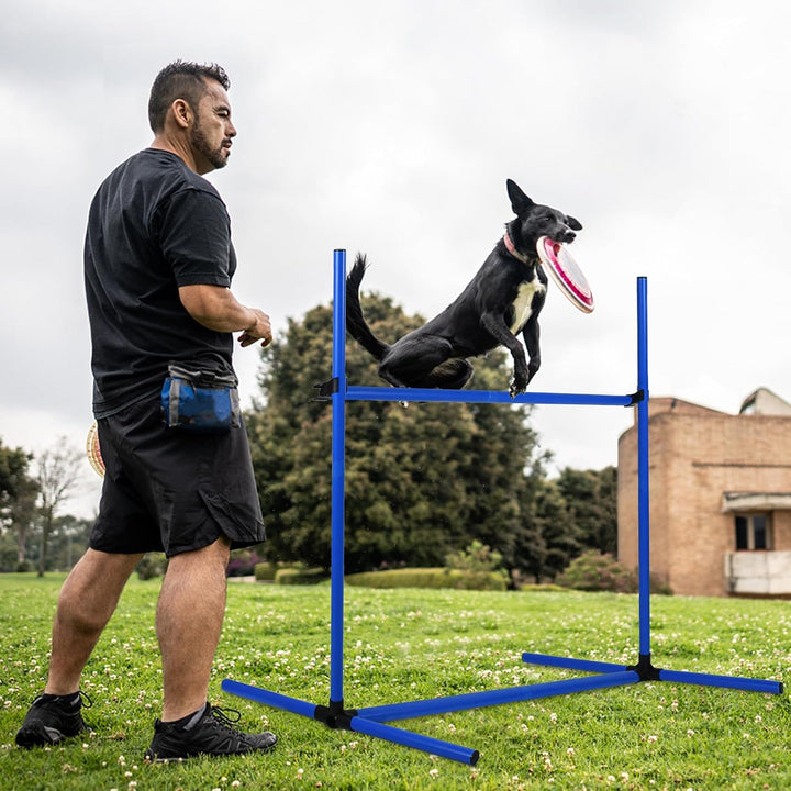 SUBTLETY 4 Stück Hürdenset Einstellbar Slalomstangen mit Tragtasche, Kunststoff Agility Ausrüstung f