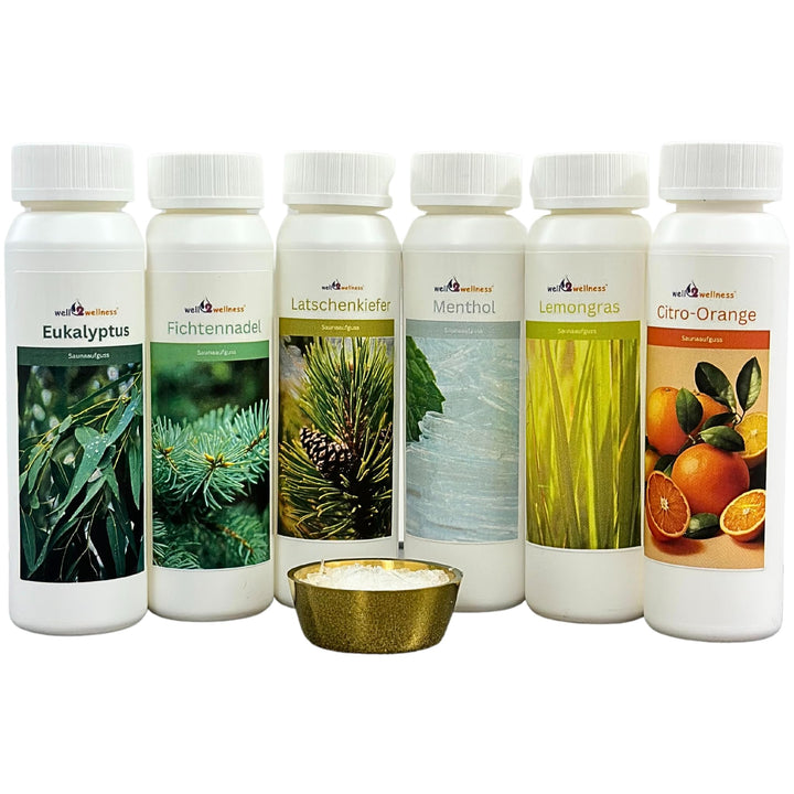 well2wellness® Saunaaufguss Set 'Probierset/Starter Set' 6 x 125 ml + gratis 10g Mentholkristalle Pr