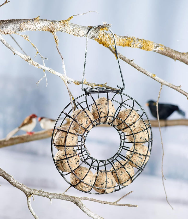 Dehner Natura Premium Meisenknödel ohne Netz, ganzjähriges Wildvogelfutter proteinreich / energierei