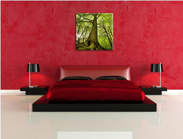 Riesiger Baum im Dschungel, Format: 70x70 auf Leinwand, XXL riesige Bilder fertig gerahmt mit Keilra
