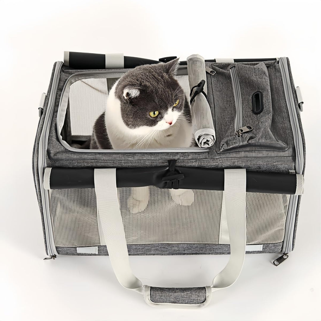 Grosse Tragetasche für Katzen Hunde Welpen bis 8kg, Katzenbox Hundetasche mit Sicherheit Reissversch
