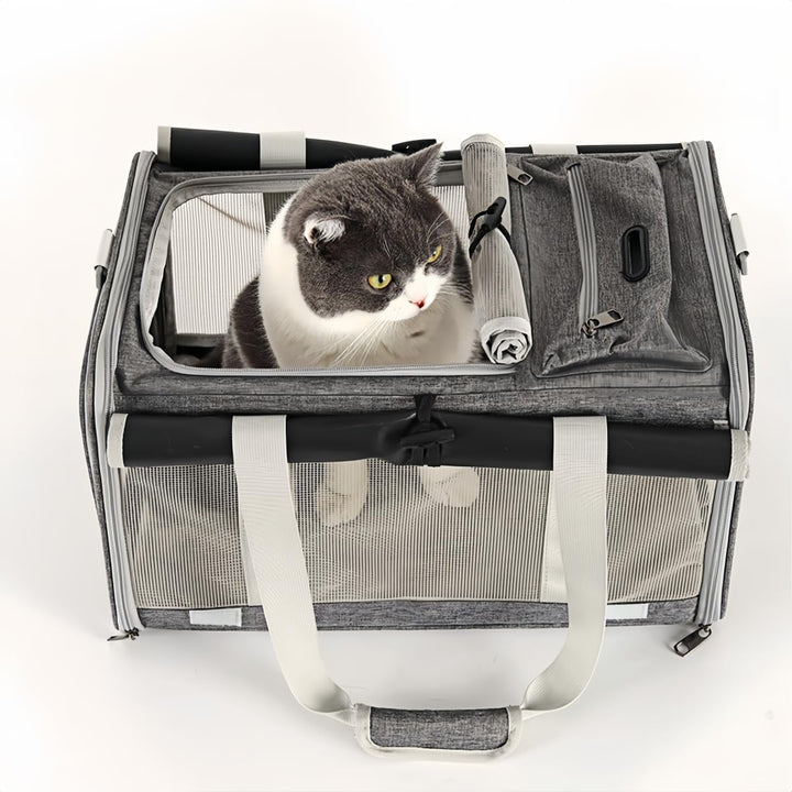 Grosse Tragetasche für Katzen Hunde Welpen bis 8kg, Katzenbox Hundetasche mit Sicherheit Reissversch