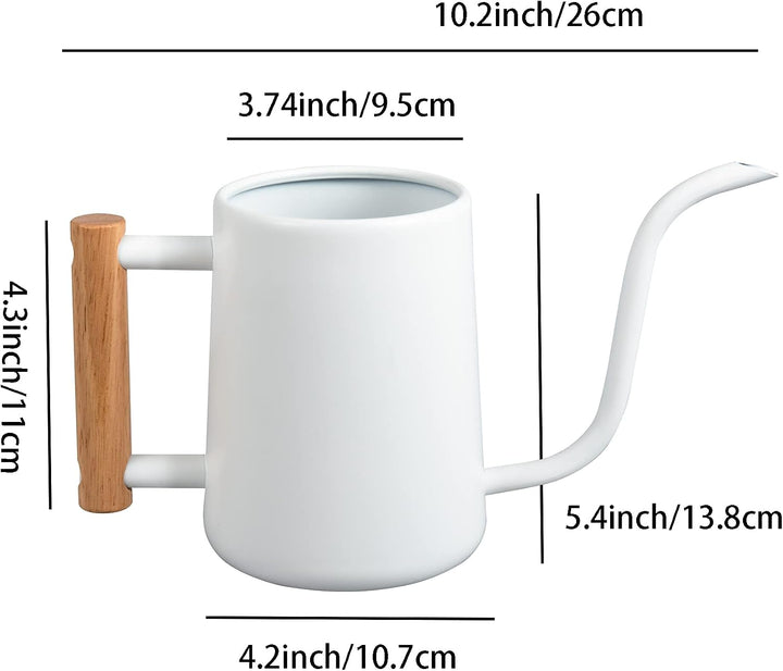 IMEEA 1L Indoor-Giesskanne Zimmerpflanzen ，Moderne Giesskannek kleinere Topfpflanzen Edelstahl-Giess