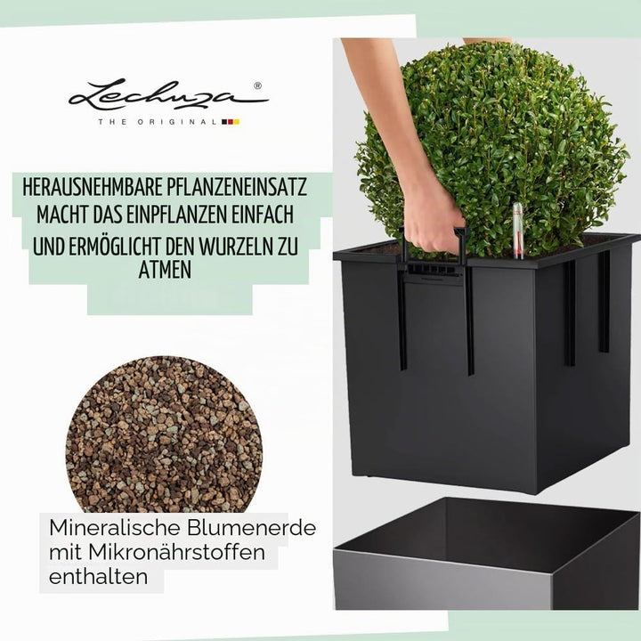LECHUZA CUBE Premium 40 anthrazit metallic 16363 39x39x40 cm Anthrazit Metallic, 39x39x40 cm Anthraz