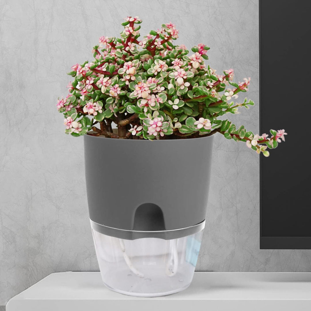 iDattel Kräutertopf Küche Set Fensterbank selbstbewässernd-3er Set Kräutergarten für die Küche,18.2X