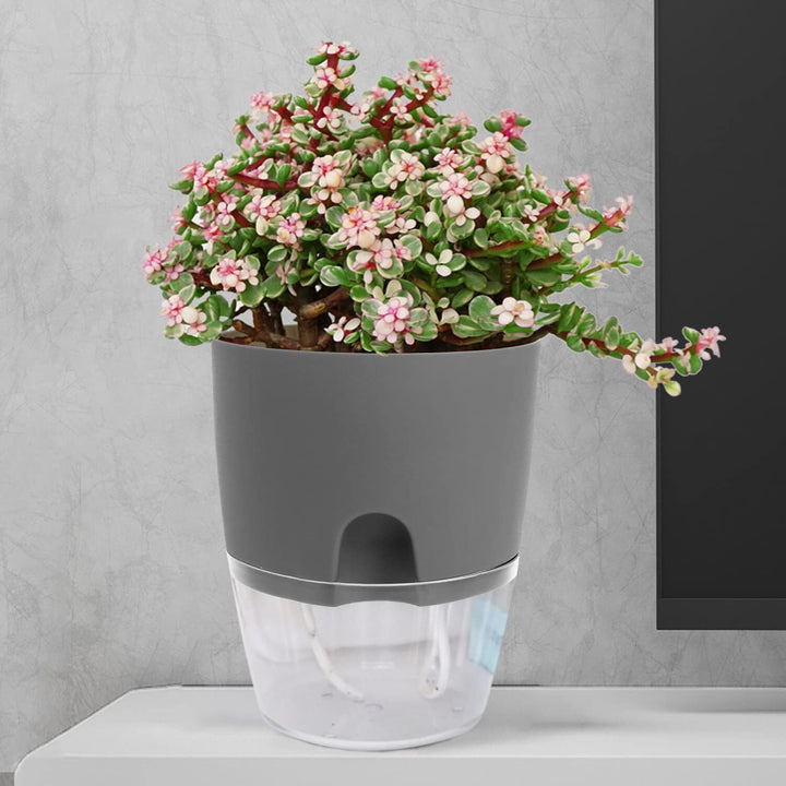 iDattel Kräutertopf Küche Set Fensterbank selbstbewässernd-3er Set Kräutergarten für die Küche,18.2X